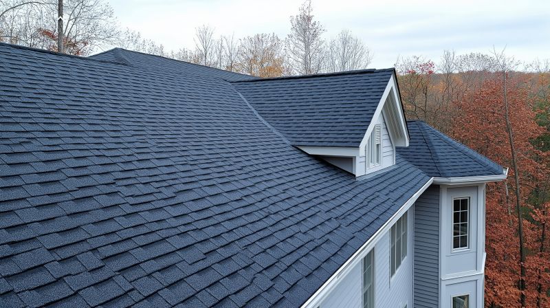 Slate Shingle Repair