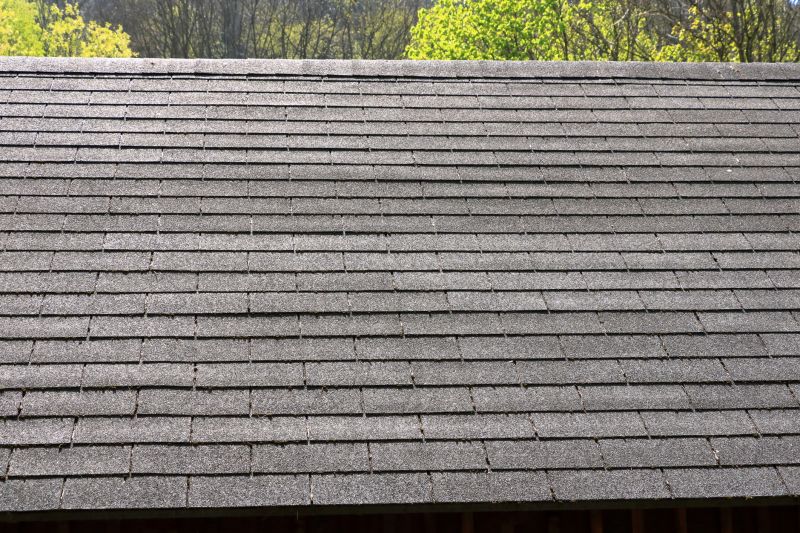 Slate Shingle Repair