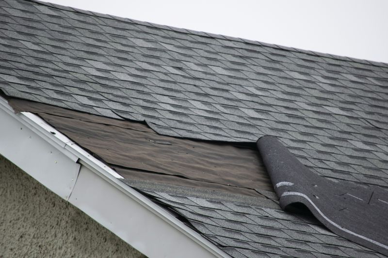Slate Shingle Repair