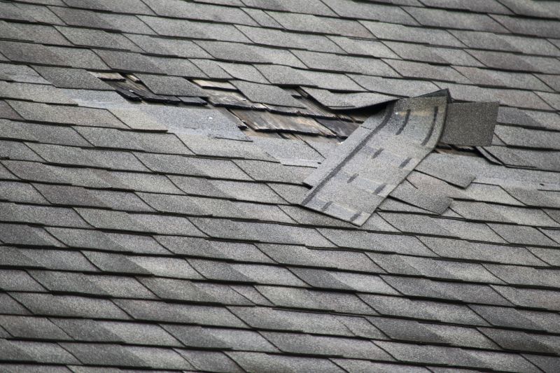 Damaged Slate Shingles